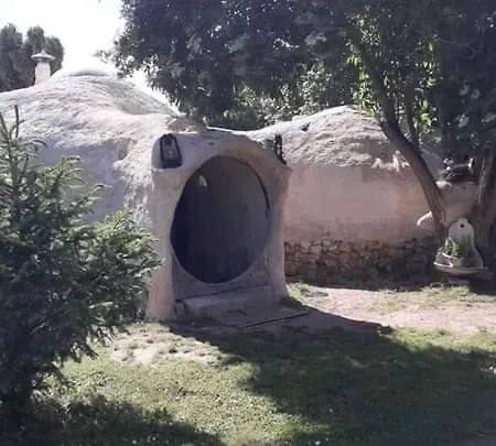 Insolites Du Bonheur De Vivre